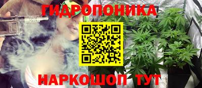 кокс Гагарин