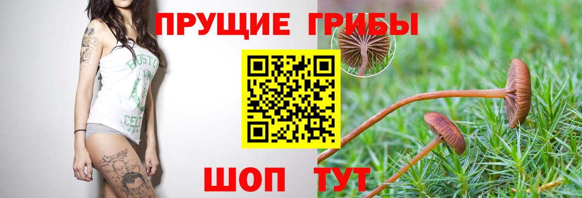 Галлюциногенные грибы Magic Shrooms Губкин