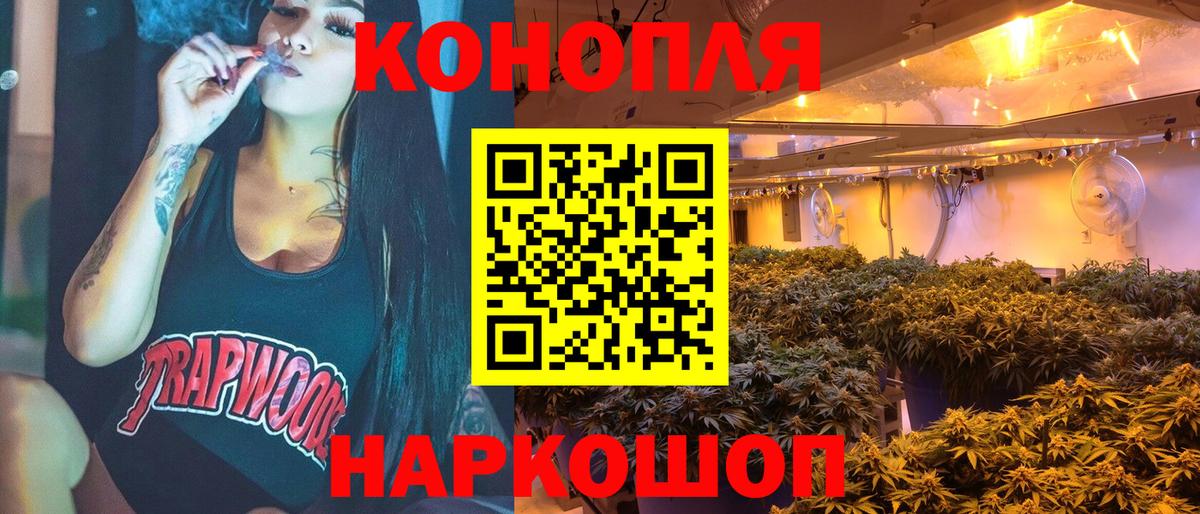 Каннабис ГИДРОПОН Губкин